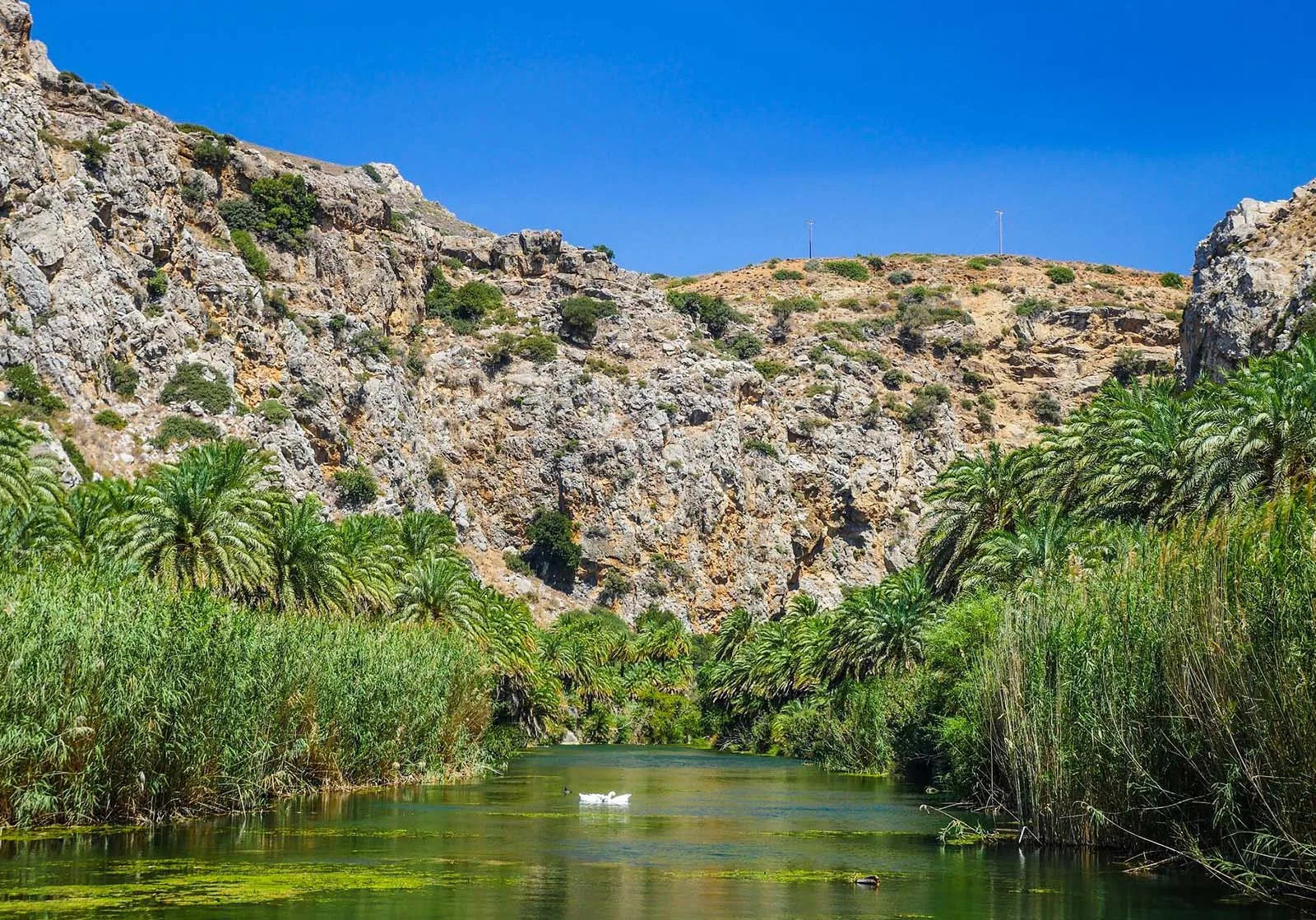 Preveli beach in Rethymno Crete with palm river and sea Preveli beach in Rethymno Crete with palm river and sea